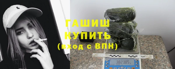 шишки Медногорск