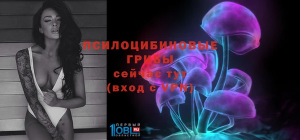 ПСИЛОЦИБИНОВЫЕ ГРИБЫ Магадан