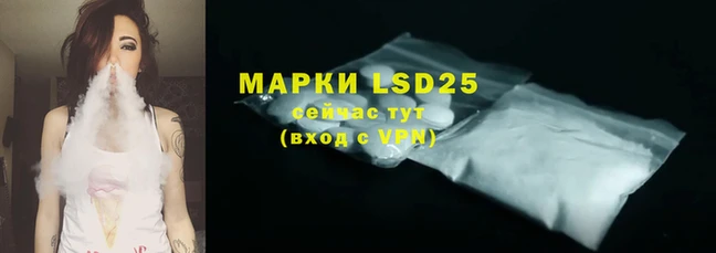 ПСИЛОЦИБИНОВЫЕ ГРИБЫ Магадан