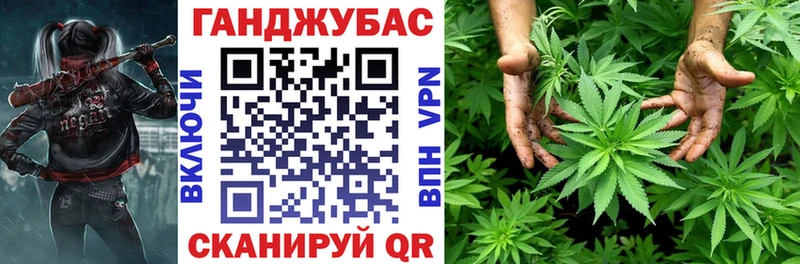блэк спрут как войти  Талица  Канабис Amnesia 